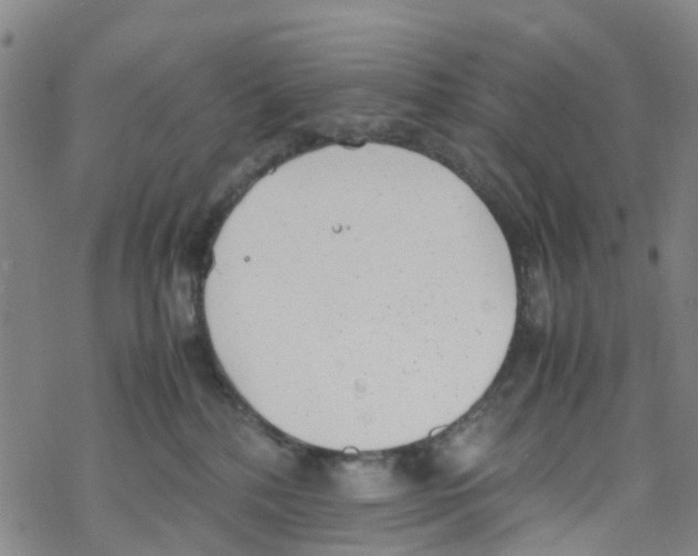 X0000067950232200605112133