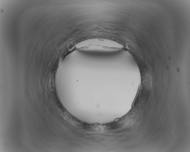 X0000067950233200605112133