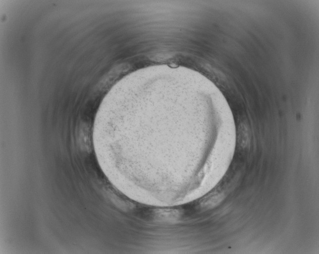 X0000067950234200605112133