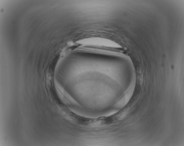 X0000067950235200605112133