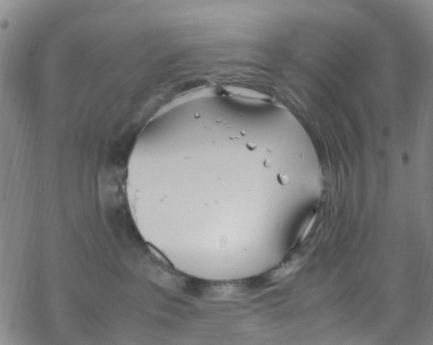 X0000067950237200605112133