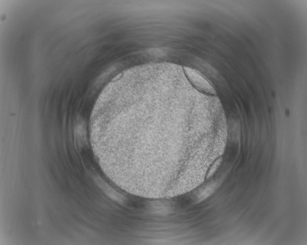 X0000067950238200605112133