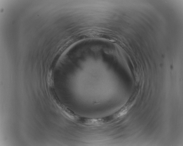 X0000067950239200605112133