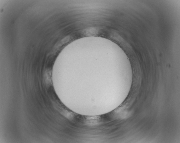 X0000067950240200605112133