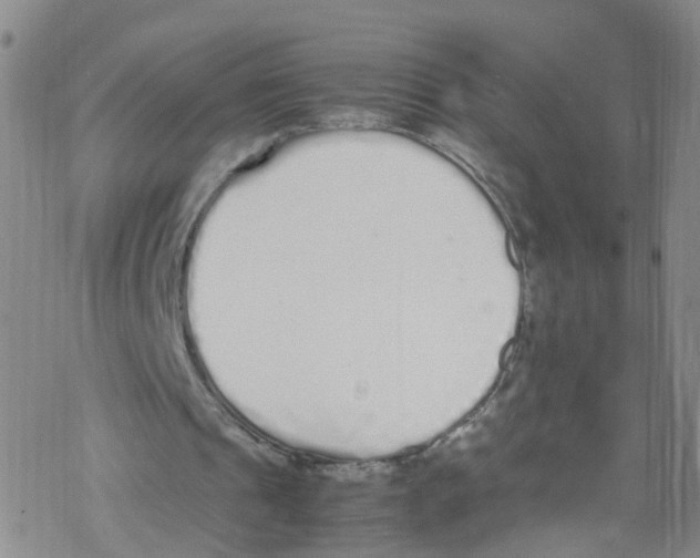 X0000067950241200605112132