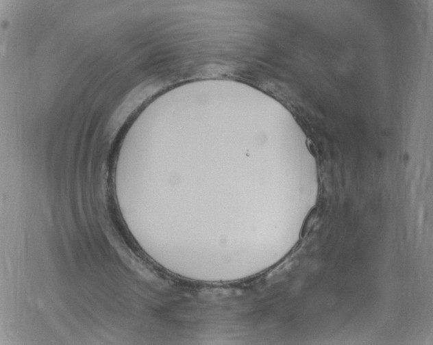 X0000067950242200605112132