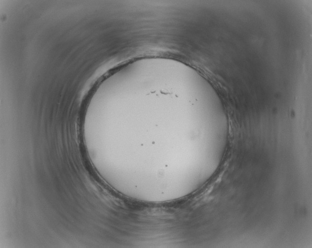 X0000067950244200605112132