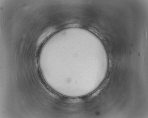 X0000067950245200605112132