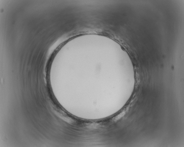 X0000067950246200605112132