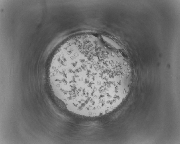 X0000067950247200605112132