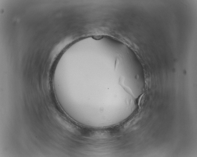 X0000067950248200605112133