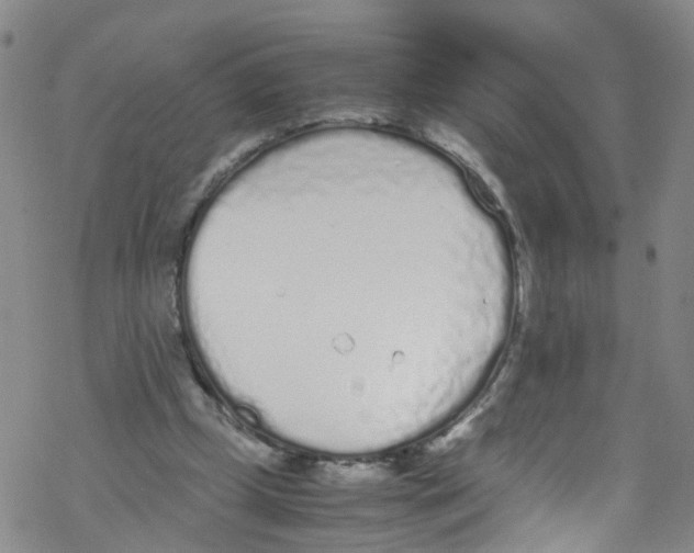 X0000067950249200605112133