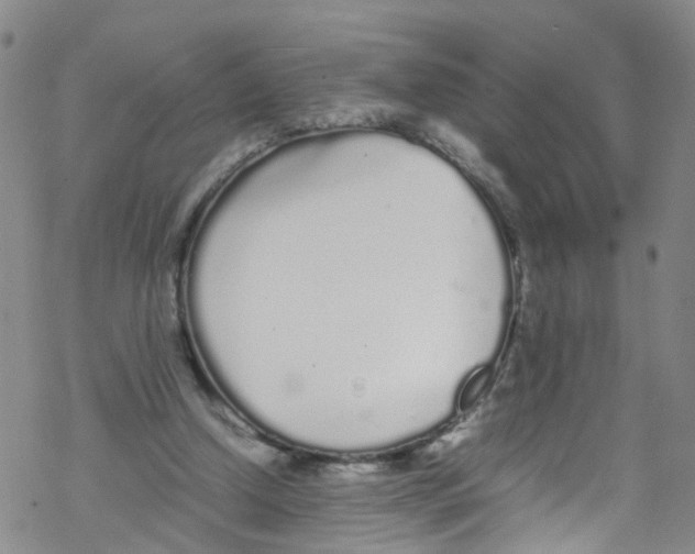 X0000067950250200605112133