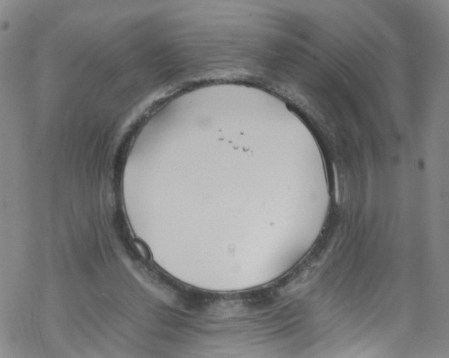 X0000067950252200605112133