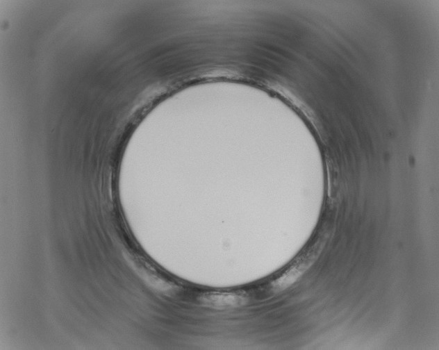 X0000067950253200605112133