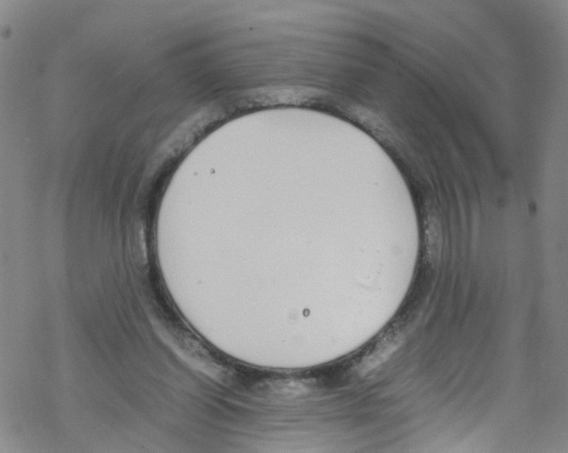 X0000067950254200605112133