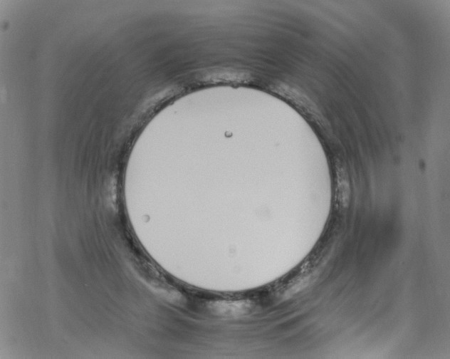 X0000067950255200605112133