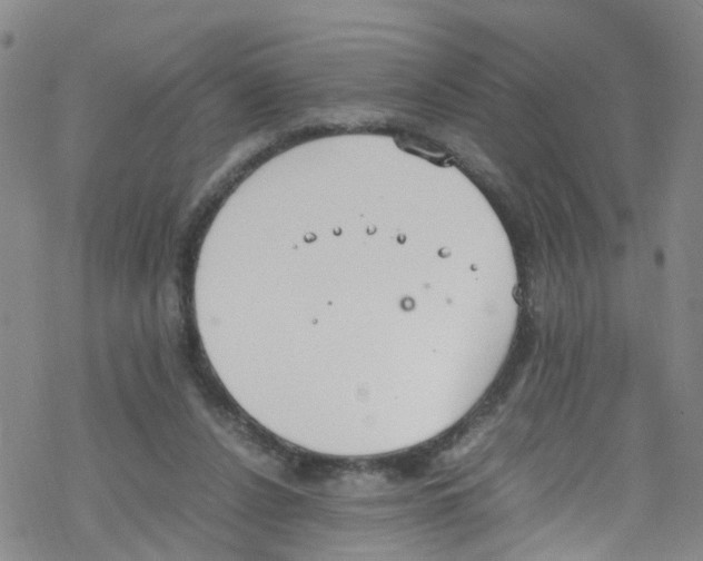 X0000067950256200605112133