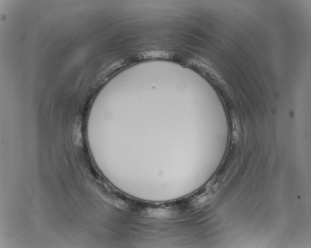 X0000067950259200605112133