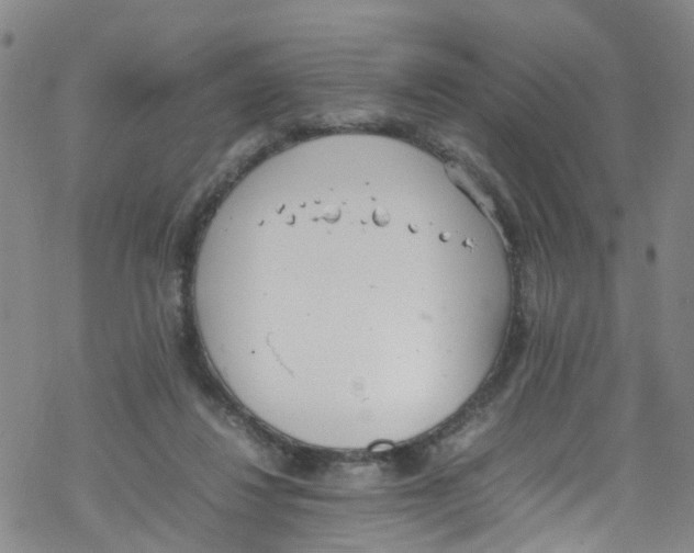 X0000067950260200605112133