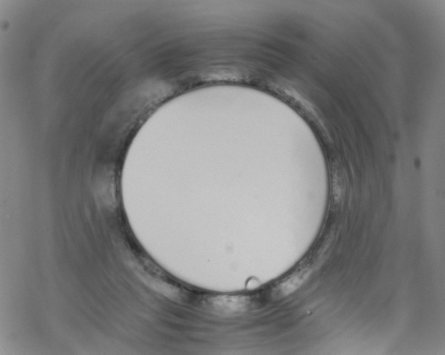 X0000067950261200605112133