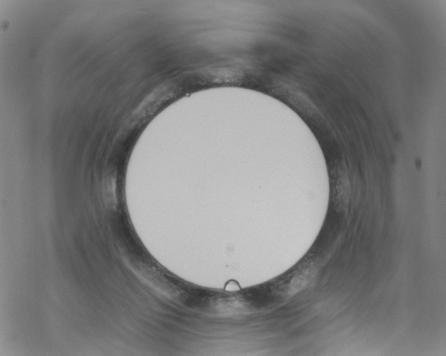 X0000067950262200605112133