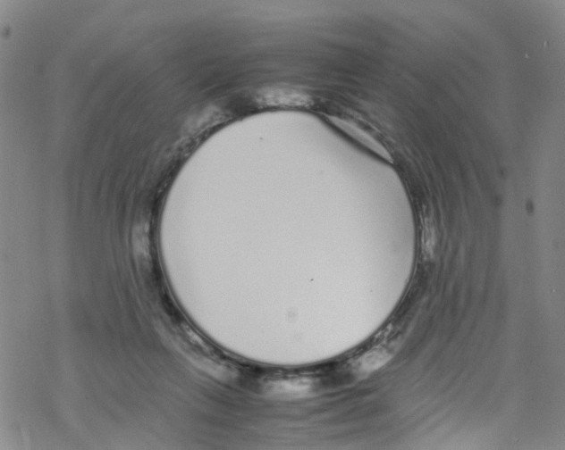 X0000067950263200605112133