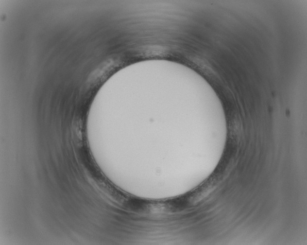 X0000067950264200605112133