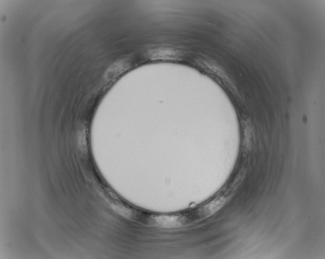 X0000067950265200605112133