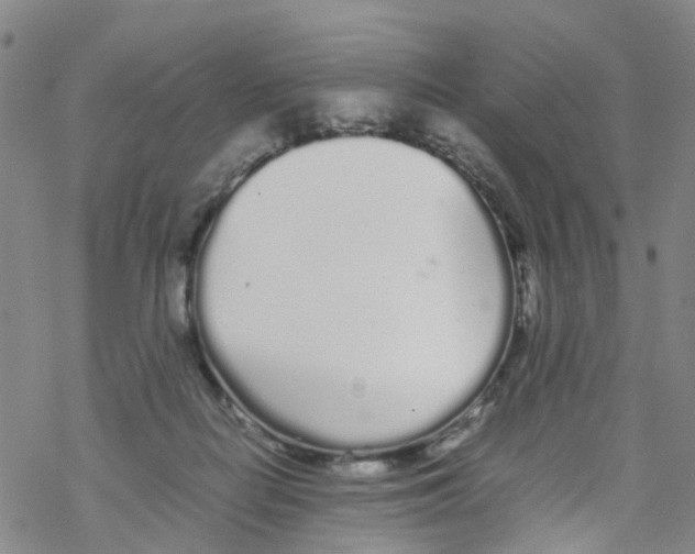 X0000067950266200605112133