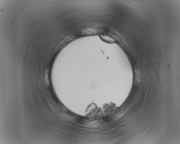 X0000067950267200605112133