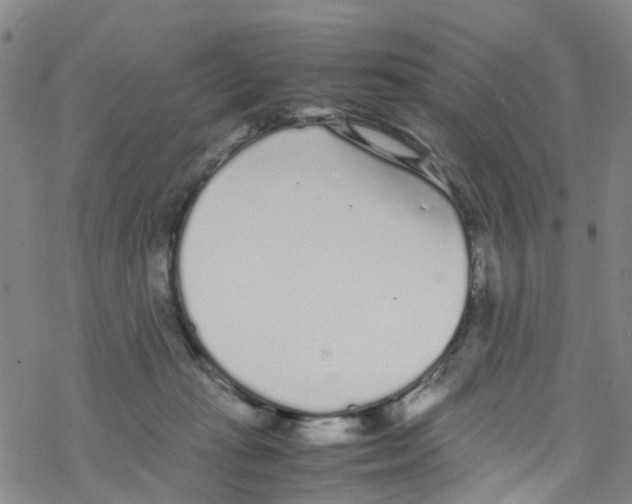 X0000067950269200605112133