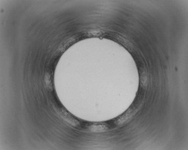 X0000067950270200605112133