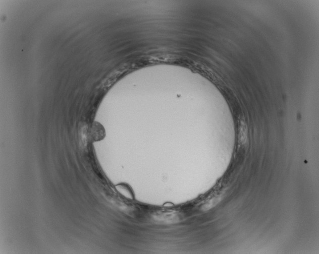 X0000067950271200605112133