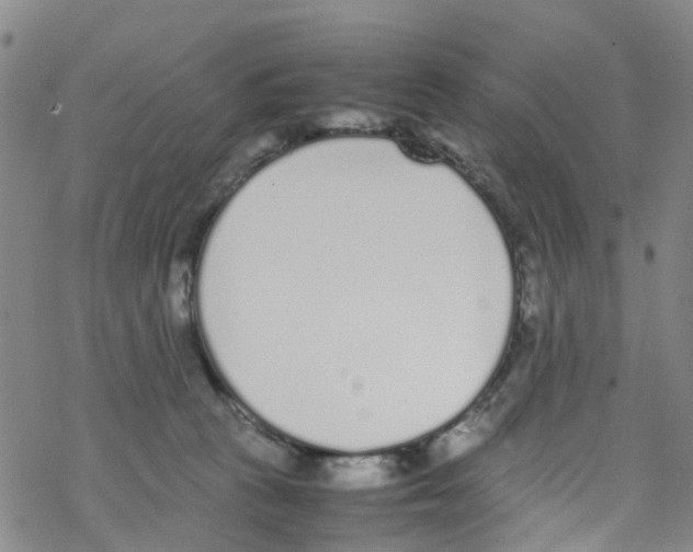 X0000067950273200605112133