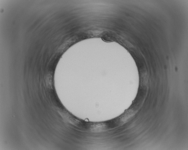 X0000067950274200605112133