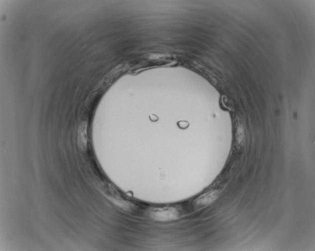 X0000067950275200605112133