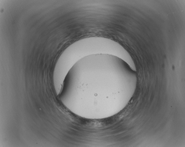 X0000067950276200605112133