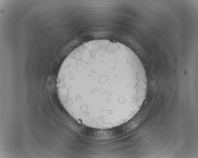 X0000067950277200605112133