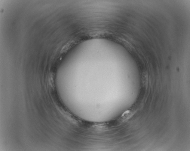 X0000067950280200605112133