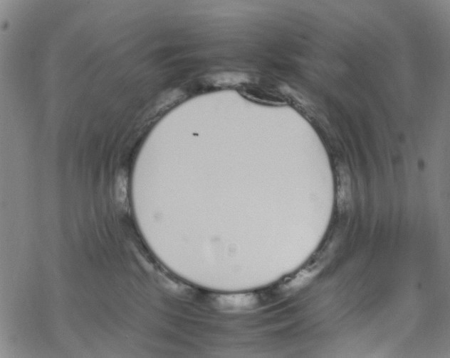 X0000067950281200605112133