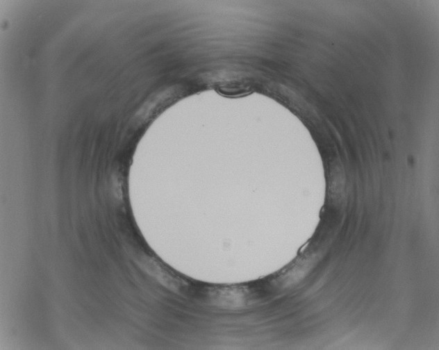 X0000067950282200605112133