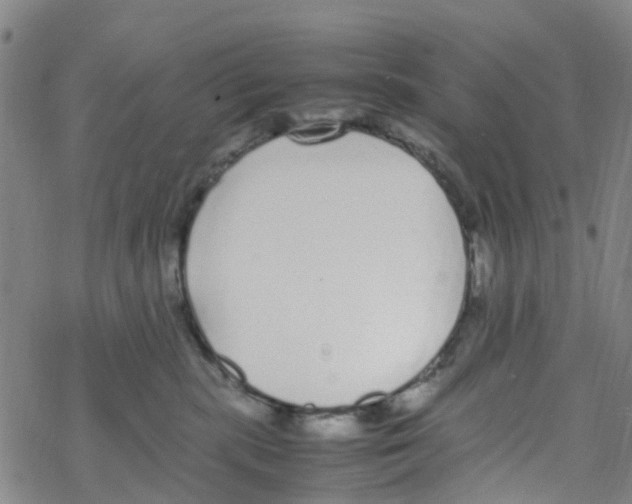 X0000067950283200605112133