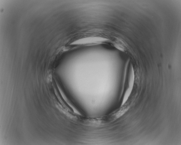 X0000067950284200605112133