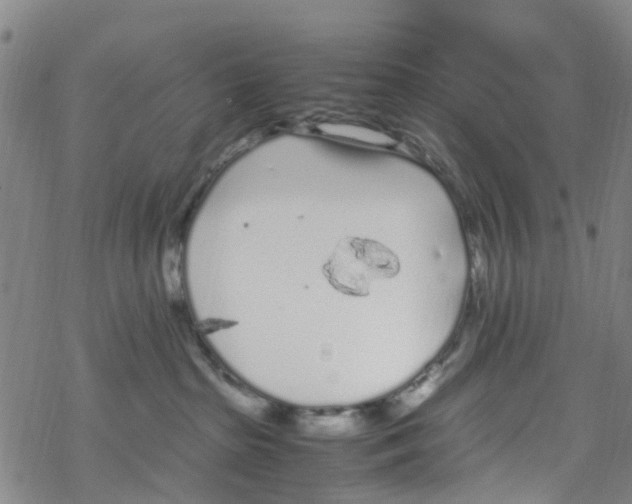 X0000067950285200605112133