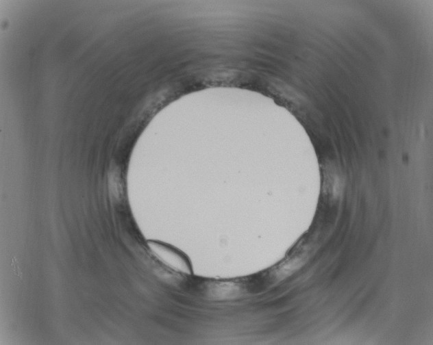 X0000067950287200605112133