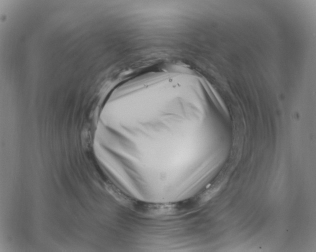 X0000067950288200605112133