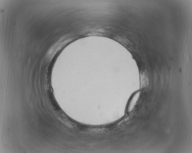 X0000067950291200605112132