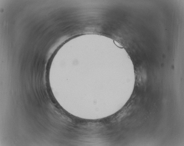 X0000067950292200605112132