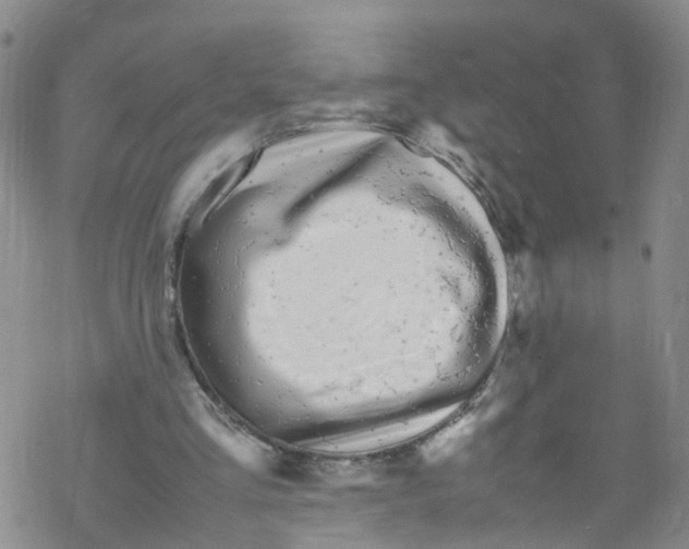 X0000067950293200605112132